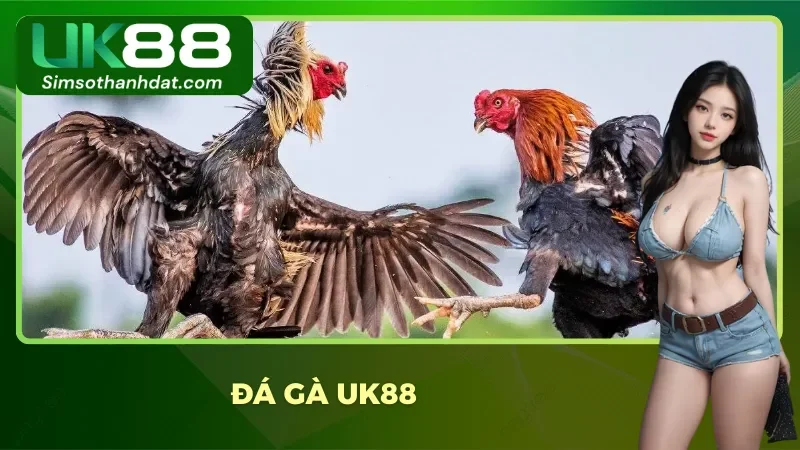 Uk88 batareyka.us.com – Nhà Cái Uk88 Uy Tín - An Toàn Bậc Nhất Việt Nam 2025 35 Cá cược đá gà online Campuchia ngay tại hệ thống